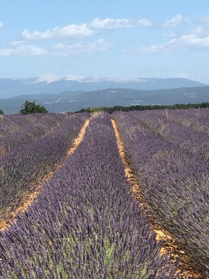 Provence Luberon Bonnieux Location Gite Chez Basile Екстер'єр фото